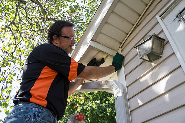 Best Demolition Debris Removal  in Elizabeth Lake, CA